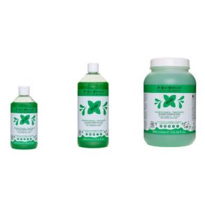 Mint Shampoo