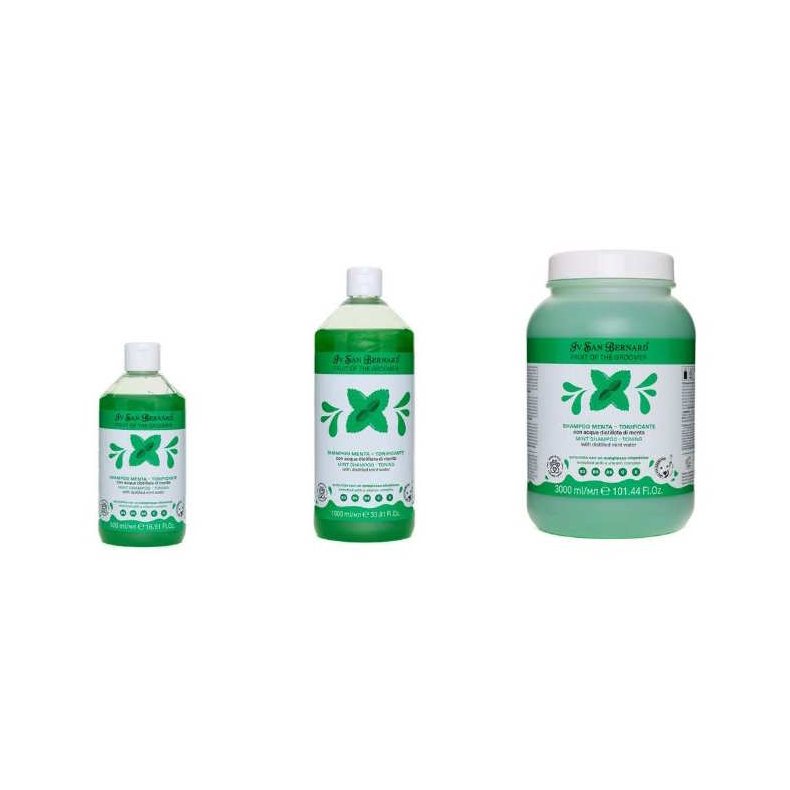 Mint Shampoo