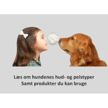 Hunde