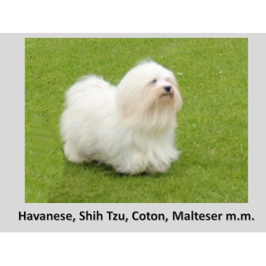 Langpelsede racer (+ klippede)