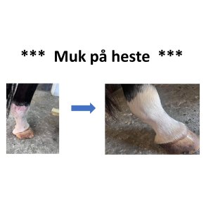 KUR500 - muk p heste