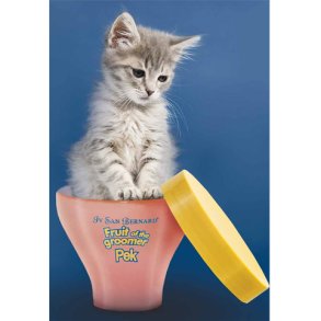 KUR400 - Halefedt p katte