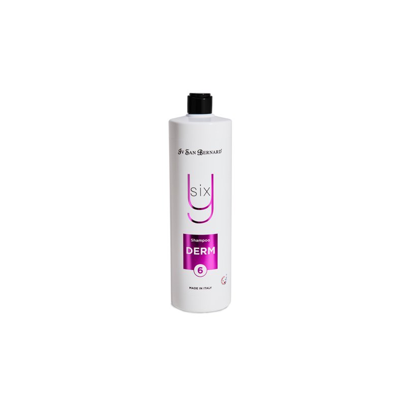 Derm Shampoo Y6 (1.000 ml)
