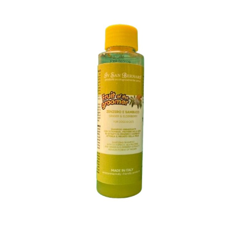 Ginger/Elderberry Shampoo (100 ml)